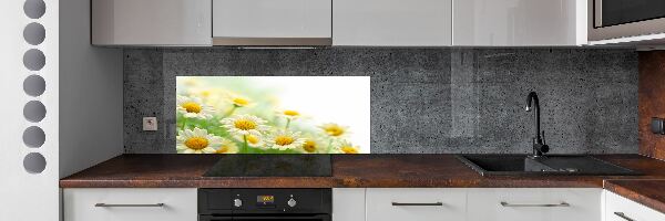 Panneau pour cuisine Marguerites