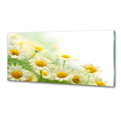 Panneau pour cuisine Marguerites