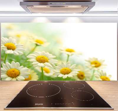 Panneau pour cuisine Marguerites