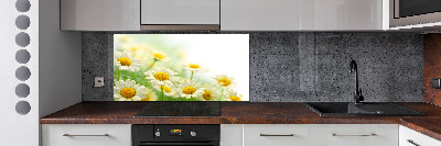 Panneau pour cuisine Marguerites