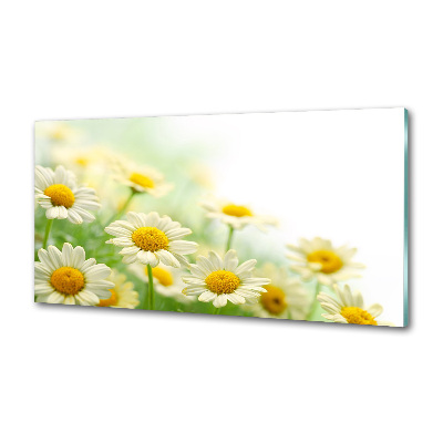 Panneau pour cuisine Marguerites