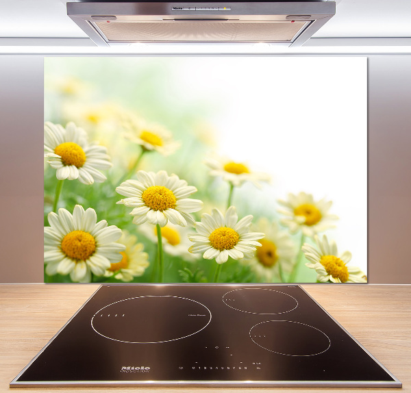 Panneau pour cuisine Marguerites