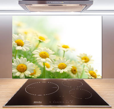 Panneau pour cuisine Marguerites