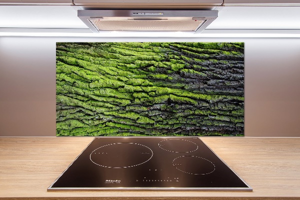 Crédence cuisine en verre Écorce d'arbre
