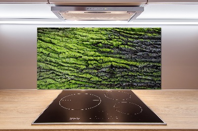 Crédence cuisine en verre Écorce d'arbre