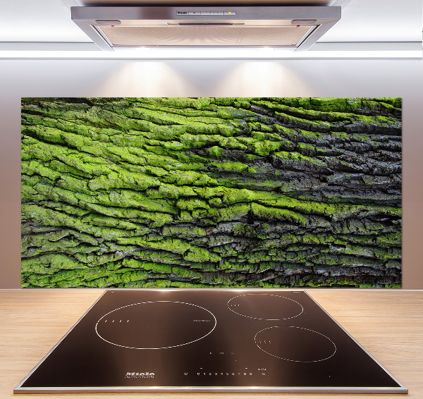Crédence cuisine en verre Écorce d'arbre
