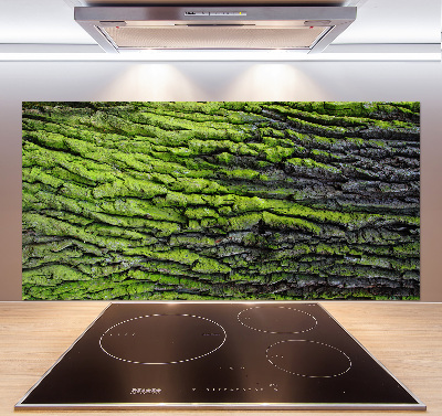 Crédence cuisine en verre Écorce d'arbre