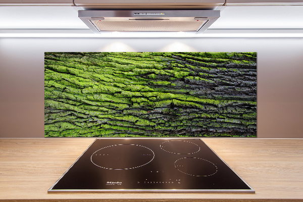 Crédence cuisine en verre Écorce d'arbre