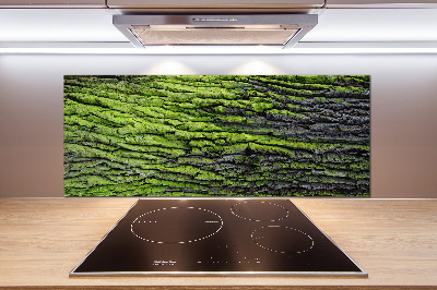 Crédence cuisine en verre Écorce d'arbre