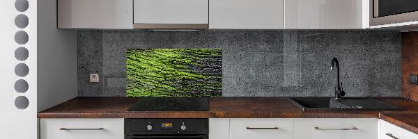 Crédence cuisine en verre Écorce d'arbre