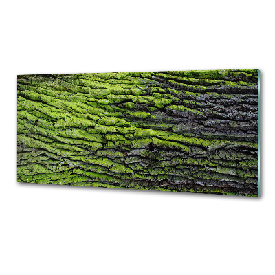 Crédence cuisine en verre Écorce d'arbre