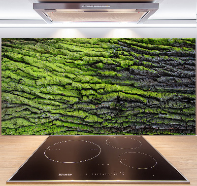 Crédence cuisine en verre Écorce d'arbre