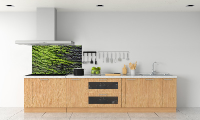 Crédence cuisine en verre Écorce d'arbre