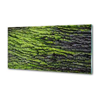 Crédence cuisine en verre Écorce d'arbre