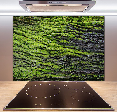 Crédence cuisine en verre Écorce d'arbre