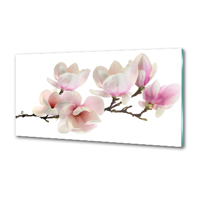 Panneau crédence cuisine Magnolia