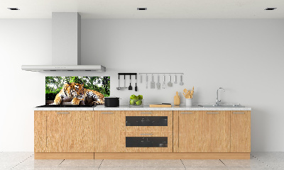 Panneau crédence cuisine Tigre sur un rocher