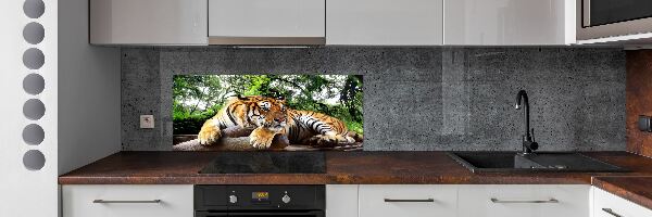 Panneau crédence cuisine Tigre sur un rocher