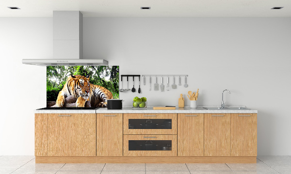Panneau crédence cuisine Tigre sur un rocher