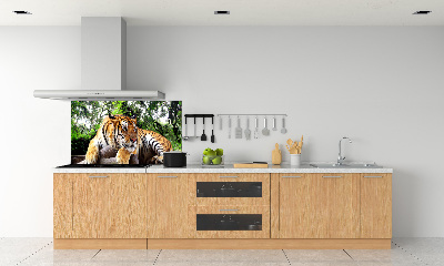 Panneau crédence cuisine Tigre sur un rocher