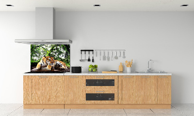 Panneau crédence cuisine Tigre sur un rocher