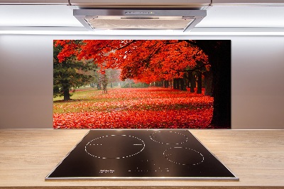 Panneau crédence cuisine Arbres en automne