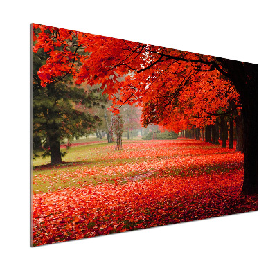 Panneau crédence cuisine Arbres en automne