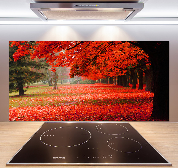 Panneau crédence cuisine Arbres en automne