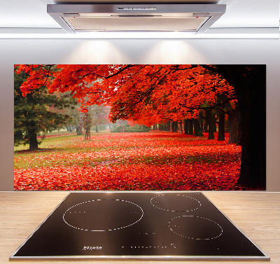 Panneau crédence cuisine Arbres en automne