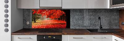 Panneau crédence cuisine Arbres en automne