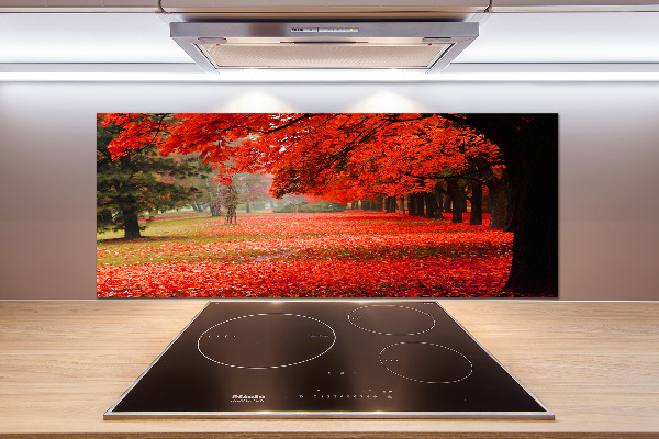 Panneau crédence cuisine Arbres en automne