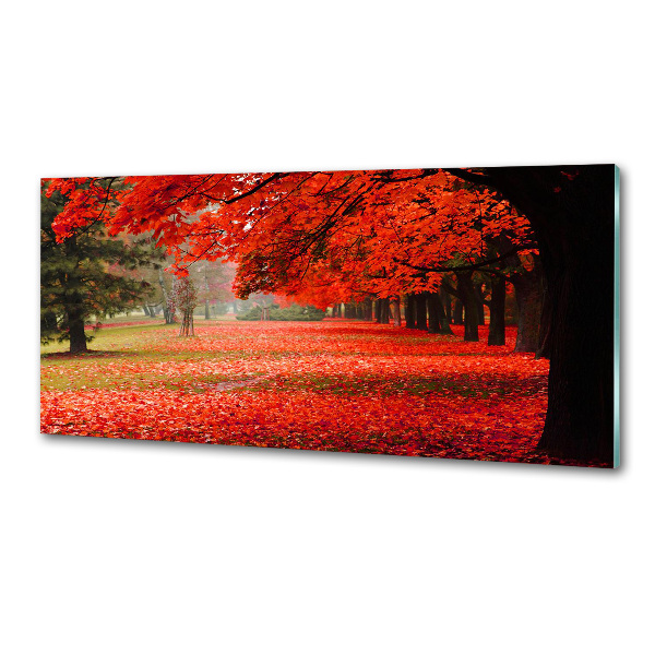 Panneau crédence cuisine Arbres en automne