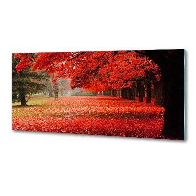 Panneau crédence cuisine Arbres en automne