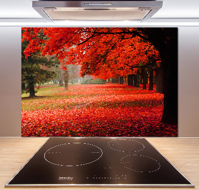 Panneau crédence cuisine Arbres en automne
