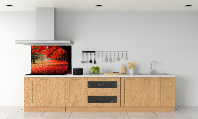 Panneau crédence cuisine Arbres en automne
