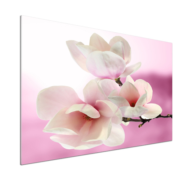 Crédence de cuisine Magnolia