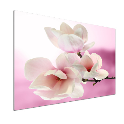 Crédence de cuisine Magnolia