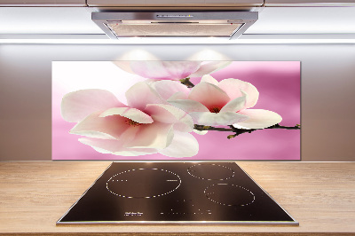 Crédence de cuisine Magnolia