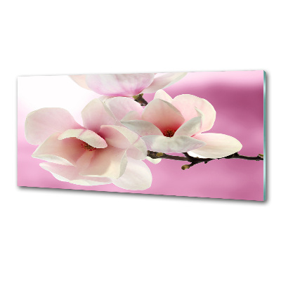 Crédence de cuisine Magnolia