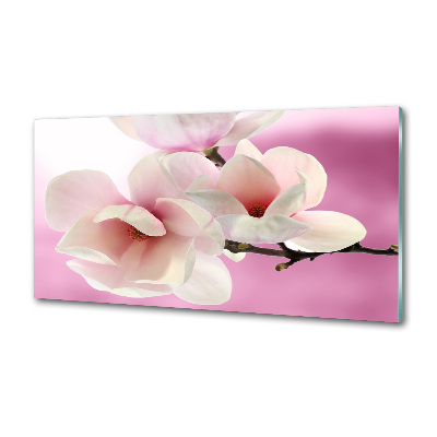 Crédence de cuisine Magnolia