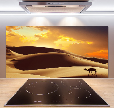 Panneau crédence cuisine Chameau du Sahara