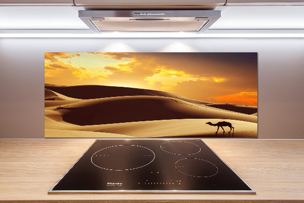 Panneau crédence cuisine Chameau du Sahara