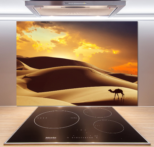 Panneau crédence cuisine Chameau du Sahara