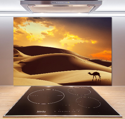 Panneau crédence cuisine Chameau du Sahara