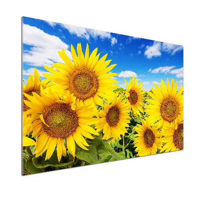 Crédence en verre avec motif Tournesol