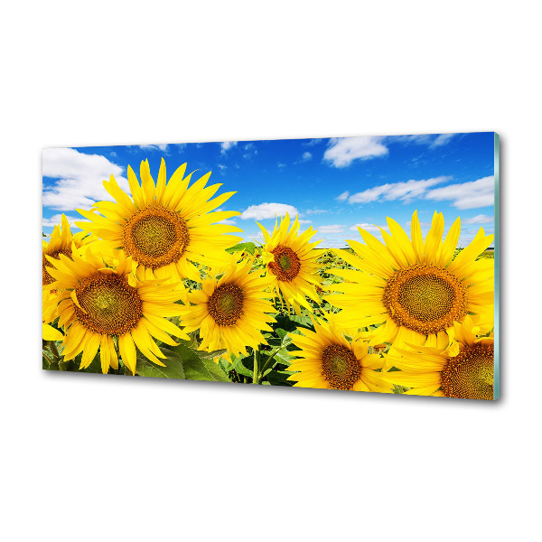 Crédence en verre avec motif Tournesol