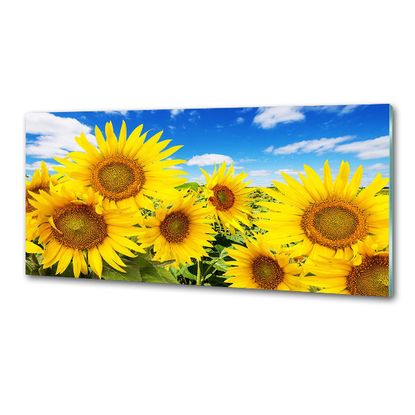 Crédence en verre avec motif Tournesol