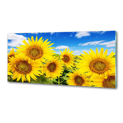 Crédence en verre avec motif Tournesol