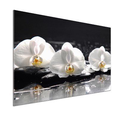Crédence de cuisine en verre Orchidée