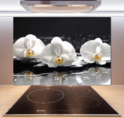 Crédence de cuisine en verre Orchidée
